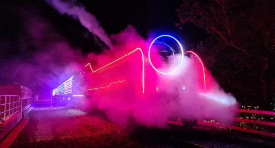 World-first Steam Illuminations puts Watercress Line back on track